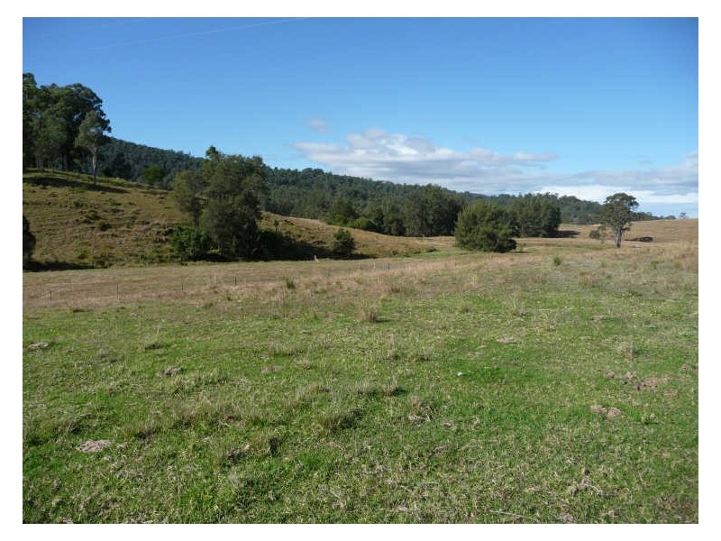 Wherrol Flat NSW 2429
