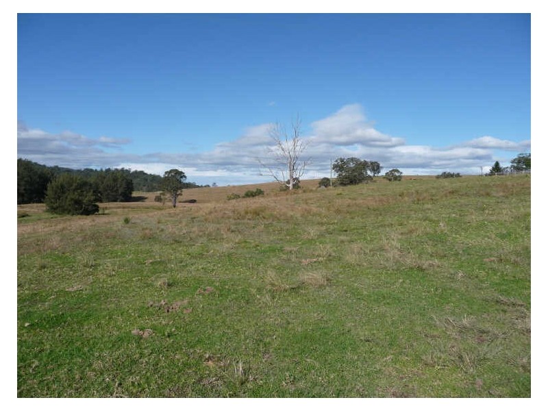 Wherrol Flat NSW 2429