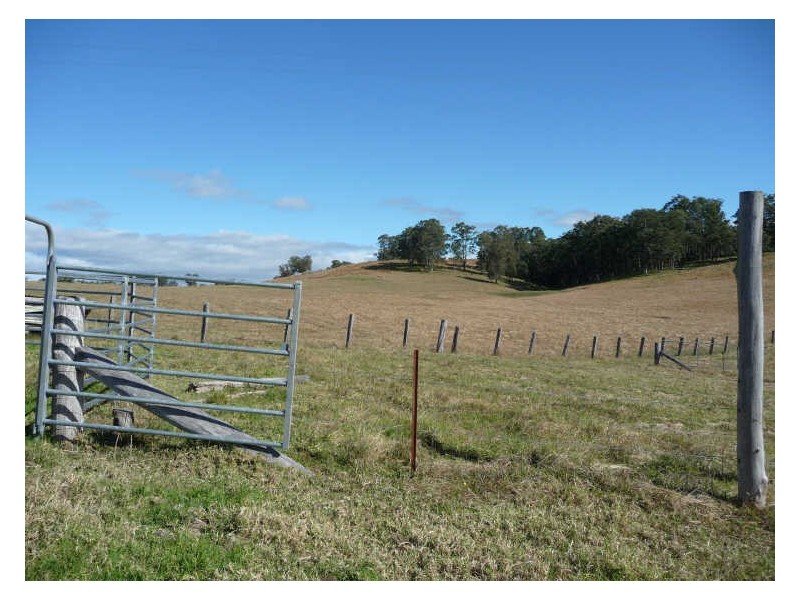 Wherrol Flat NSW 2429
