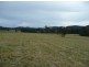 Wherrol Flat NSW 2429
