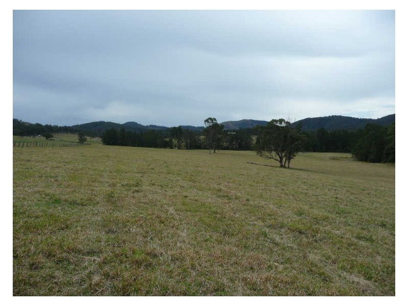 Wherrol Flat NSW 2429