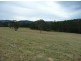 Wherrol Flat NSW 2429