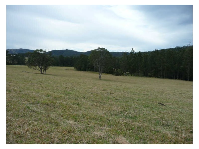 Wherrol Flat NSW 2429