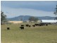 Wherrol Flat NSW 2429