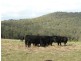 Wherrol Flat NSW 2429