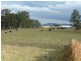 Wherrol Flat NSW 2429