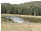 Wherrol Flat NSW 2429