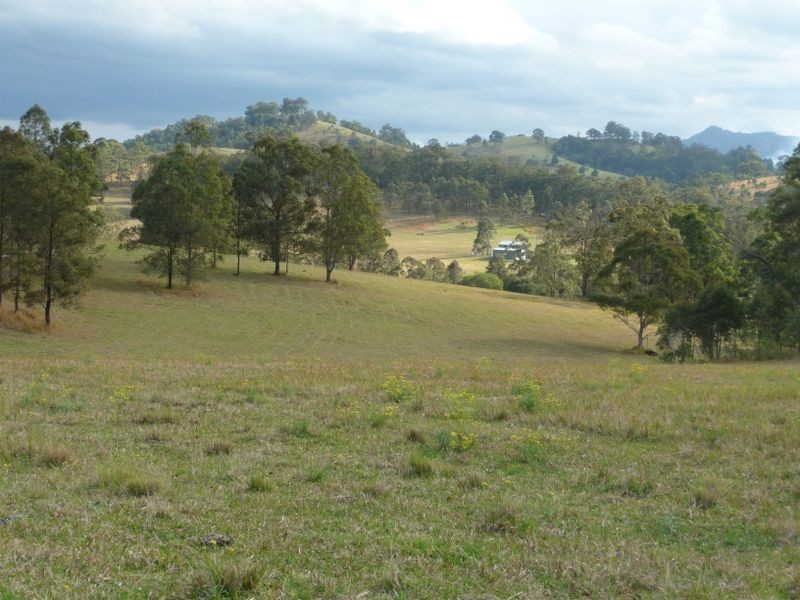 Wherrol Flat NSW 2429
