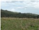 Wherrol Flat NSW 2429