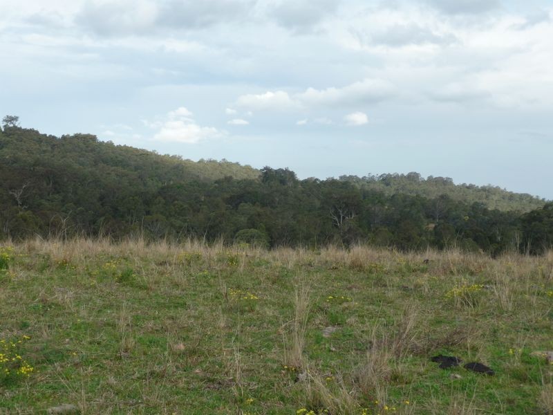 Wherrol Flat NSW 2429