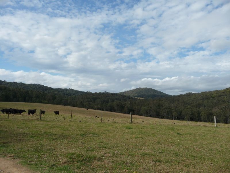 Wherrol Flat NSW 2429
