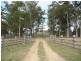 Wherrol Flat NSW 2429