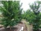 Johns River NSW 2443