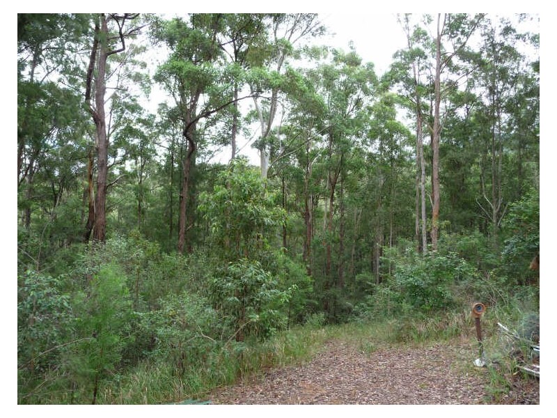 Johns River NSW 2443
