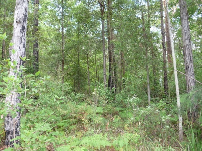 Johns River NSW 2443