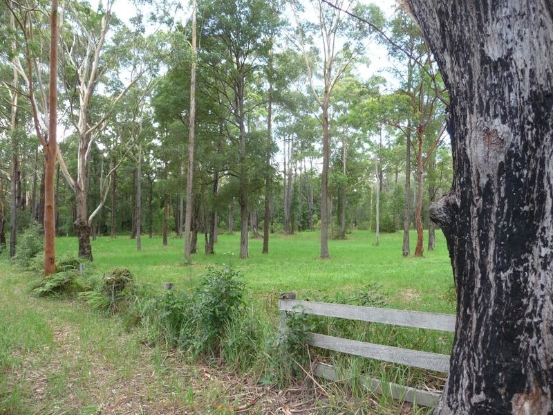 Johns River NSW 2443