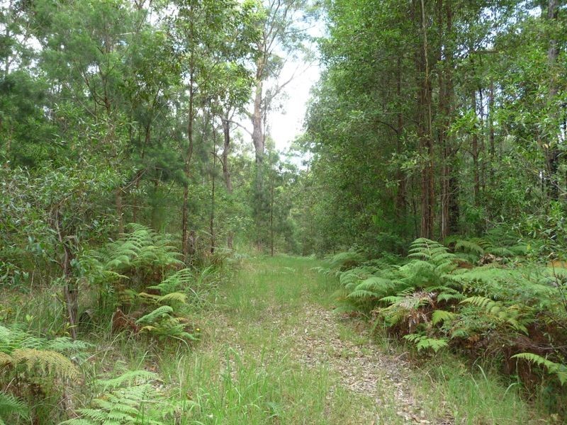 Johns River NSW 2443