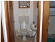 Wingham NSW 2429