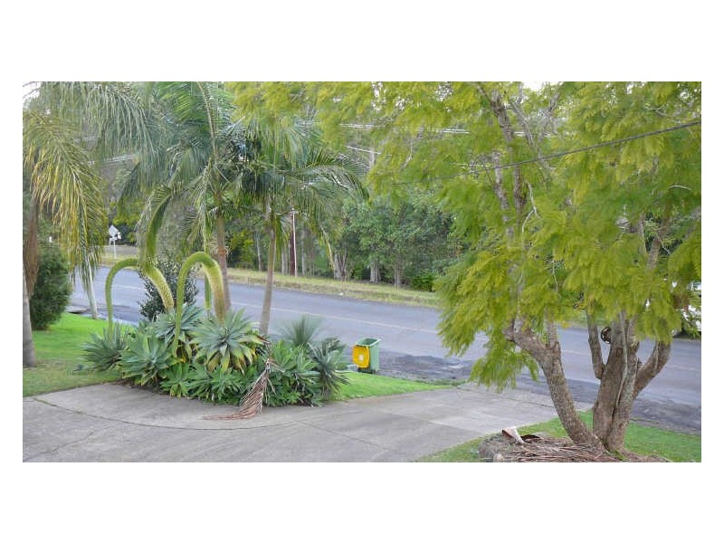 Wingham NSW 2429