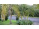 Wingham NSW 2429