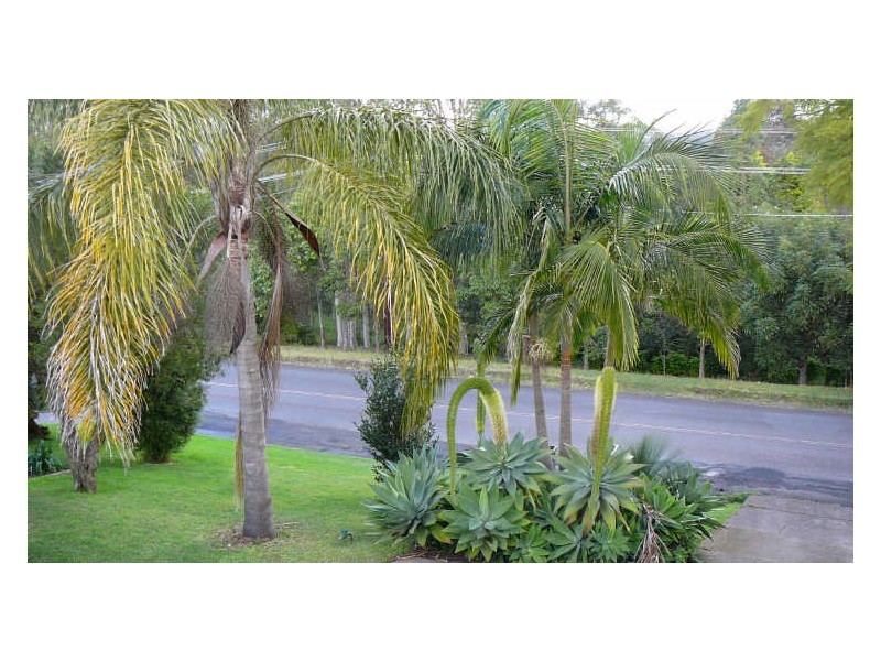 Wingham NSW 2429