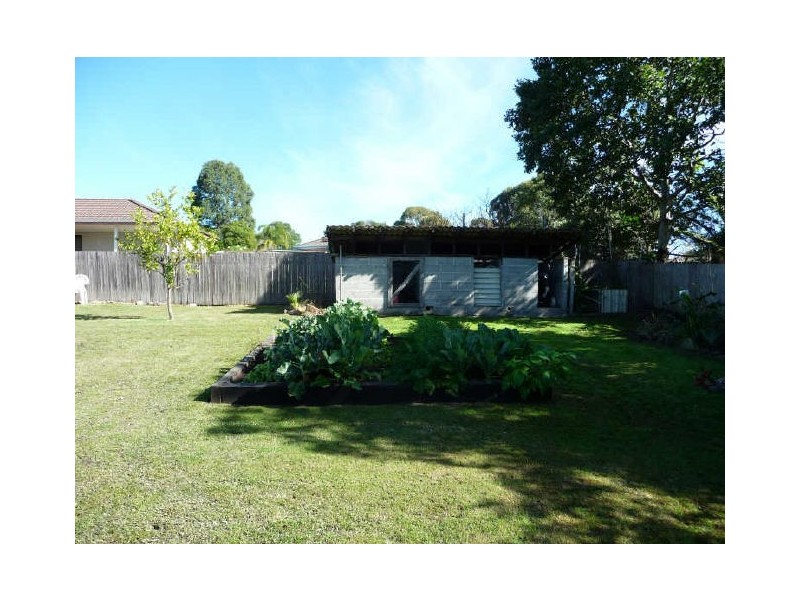 Wingham NSW 2429