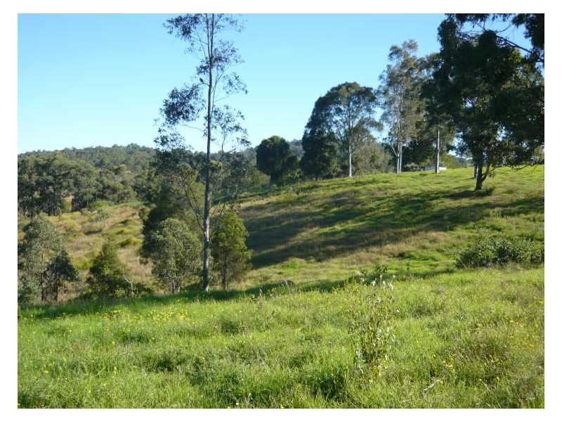 79 Kardinia Road DollyS Flat, Wingham NSW 2429