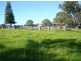 79 Kardinia Road DollyS Flat, Wingham NSW 2429