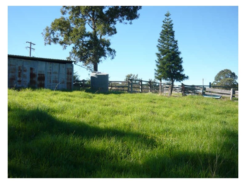 79 Kardinia Road DollyS Flat, Wingham NSW 2429