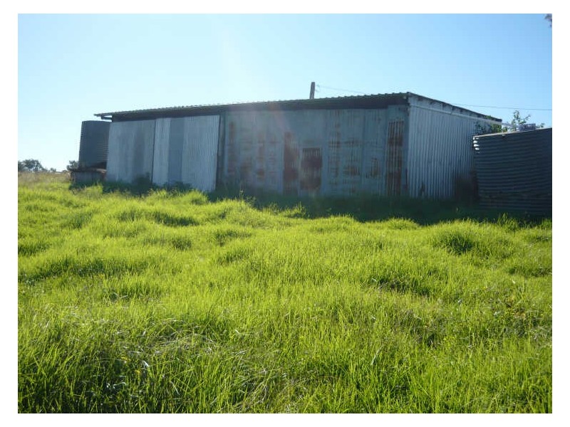 79 Kardinia Road DollyS Flat, Wingham NSW 2429