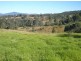 79 Kardinia Road DollyS Flat, Wingham NSW 2429