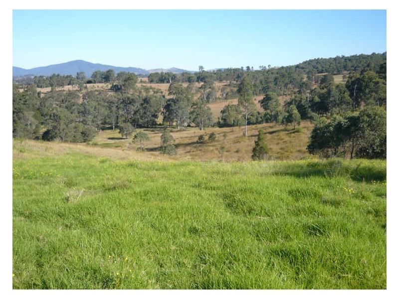 79 Kardinia Road DollyS Flat, Wingham NSW 2429