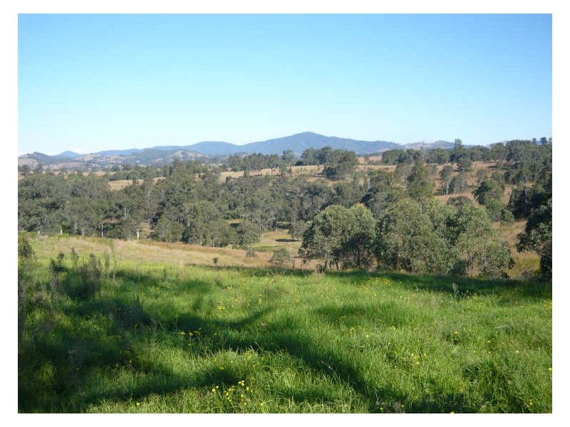 79 Kardinia Road DollyS Flat, Wingham NSW 2429