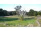 Wingham NSW 2429