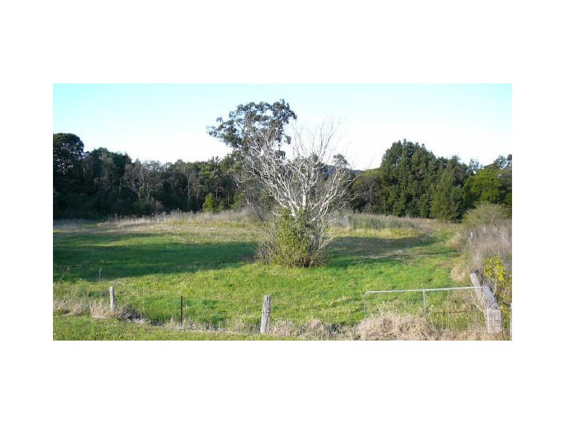 Wingham NSW 2429