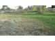 Wingham NSW 2429