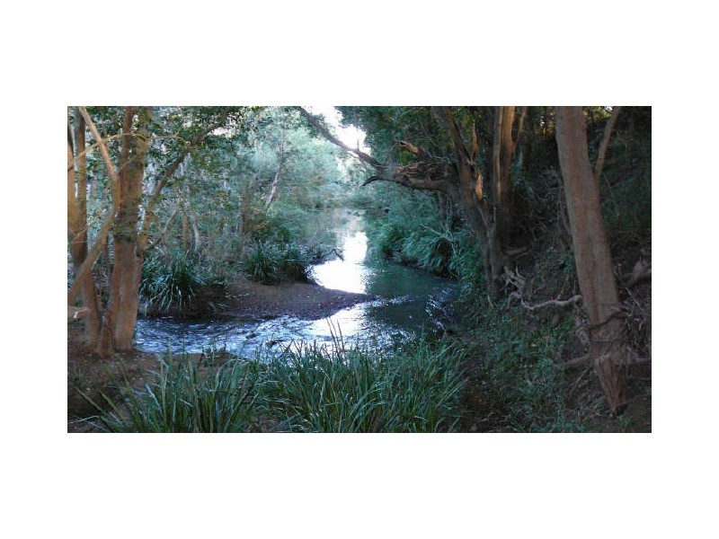 Wingham NSW 2429