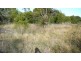 Wingham NSW 2429