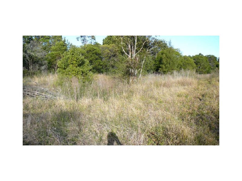 Wingham NSW 2429