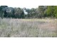 Wingham NSW 2429