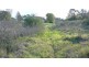 Wingham NSW 2429