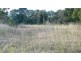 Wingham NSW 2429
