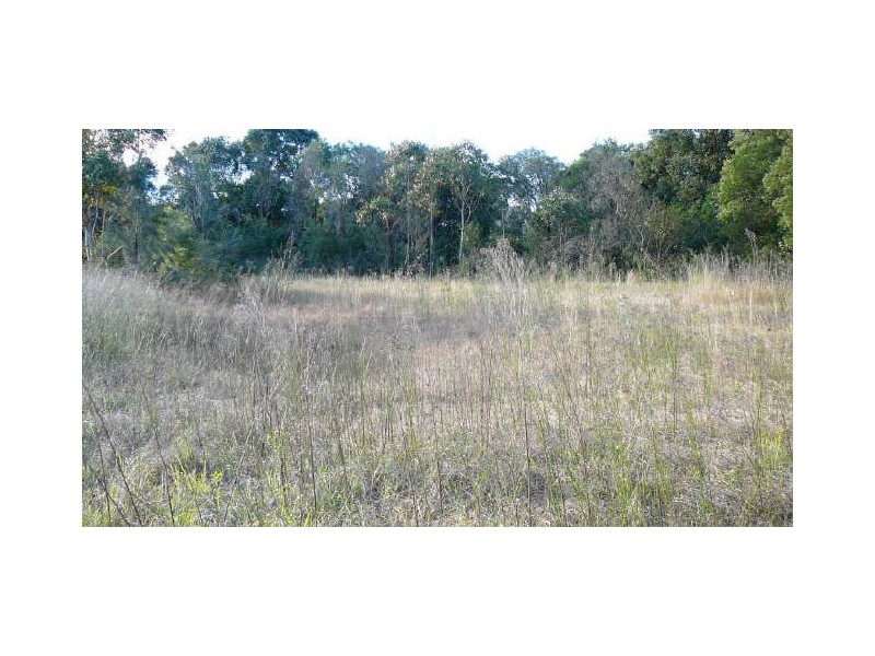 Wingham NSW 2429