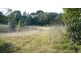 Wingham NSW 2429