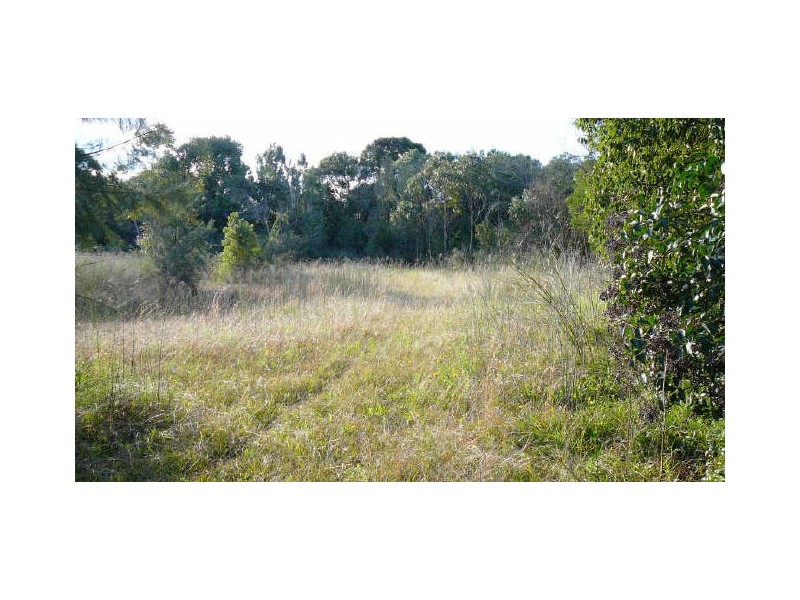 Wingham NSW 2429