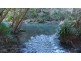 Wingham NSW 2429