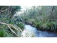 Wingham NSW 2429