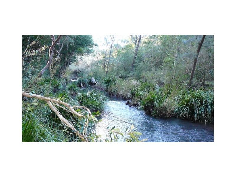Wingham NSW 2429