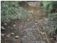 Mooral Creek NSW 2429