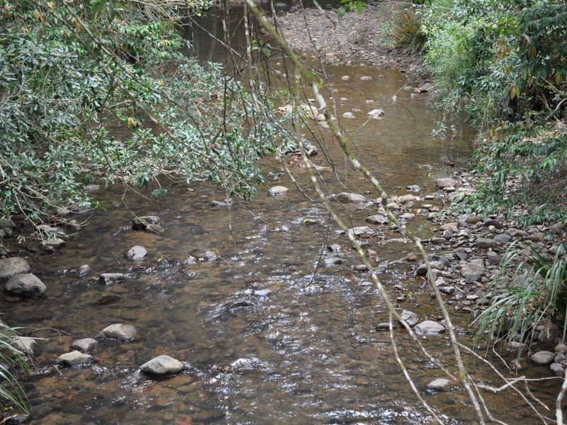 Mooral Creek NSW 2429